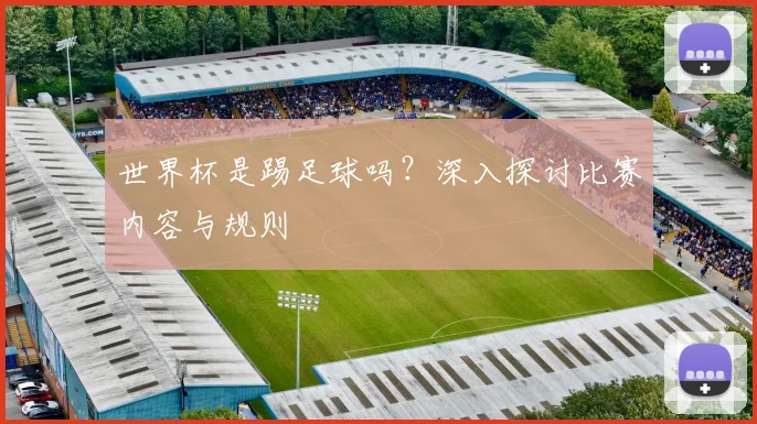 世界杯是踢足球吗？深入探讨比赛内容与规则