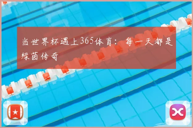 当世界杯遇上365体育：每一天都是绿茵传奇