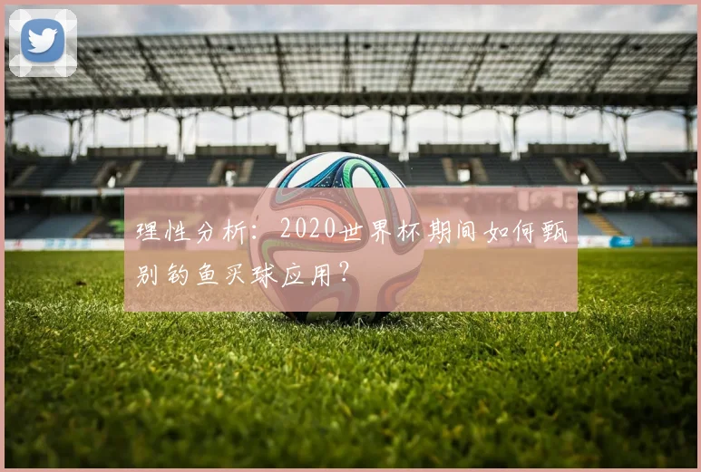 理性分析：2020世界杯期间如何甄别钓鱼买球应用？