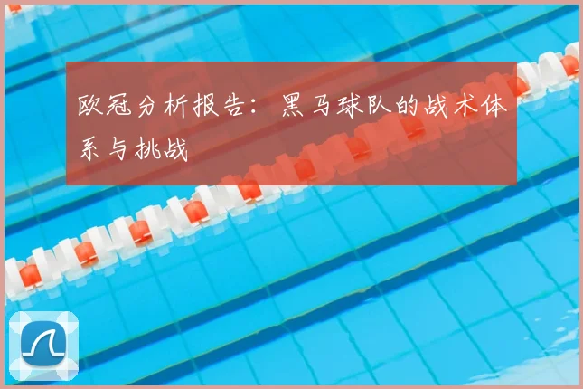 欧冠分析报告:黑马球队的战术体系与挑战