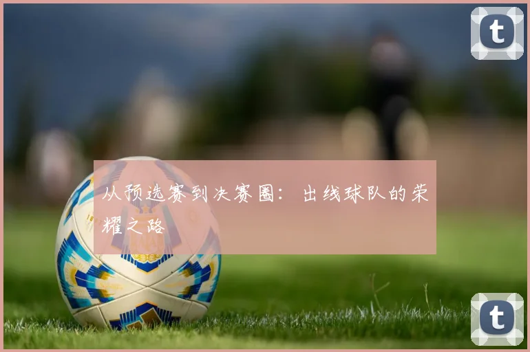 从预选赛到决赛圈：出线球队的荣耀之路